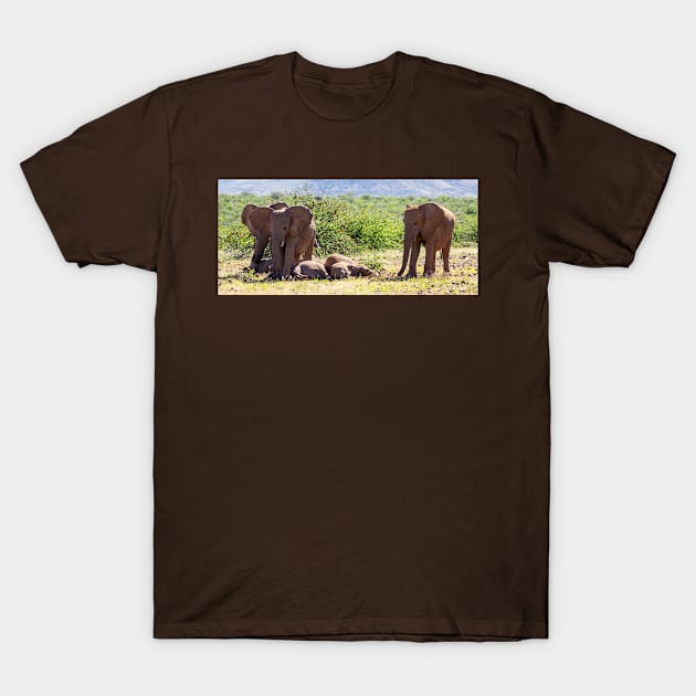 Elephants with babies. T-Shirt by sma1050